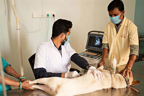 Healthcare camp